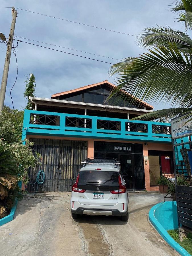 Uverito Sand Dollar B&B Лас-Таблас Экстерьер фото