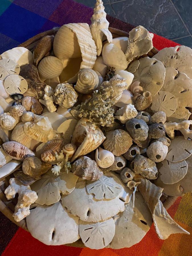 Uverito Sand Dollar B&B Лас-Таблас Экстерьер фото